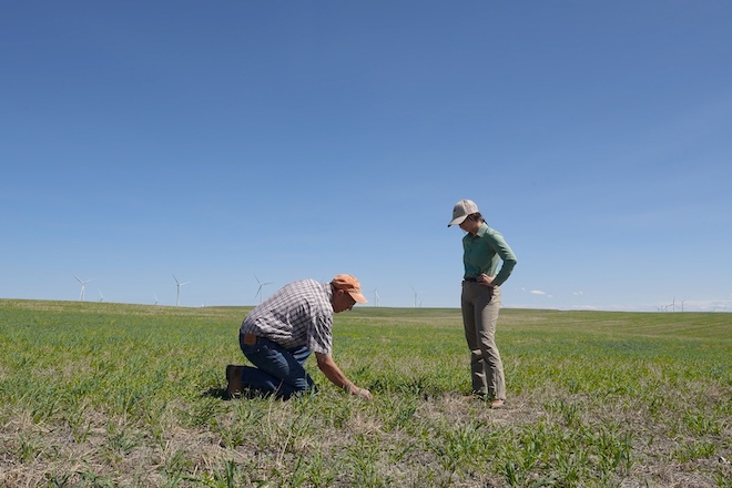 From Farmland to Grassland: Sterling's Story