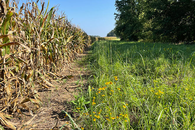 Wisconsin Farmers Building Habitat Through Precision Agriculture