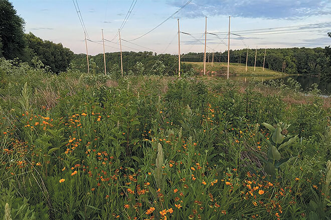 Habitat How-To: Rights-of-Way - Habitat in the Margins