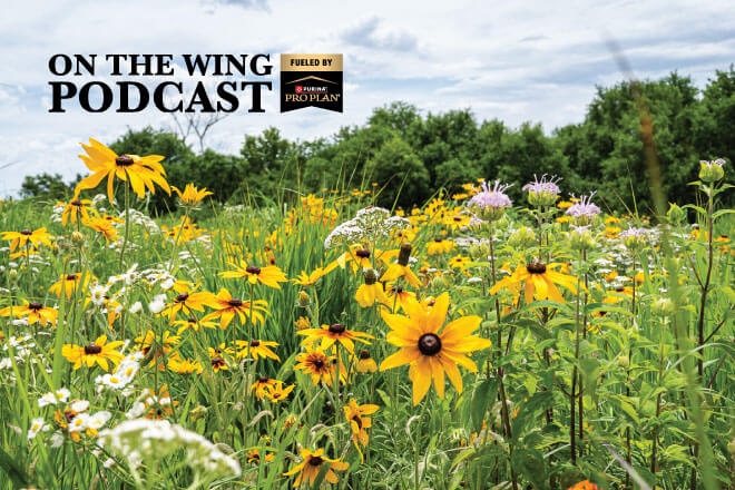 PODCAST EP. 365: Trading Habitat Help for Hunting Access
