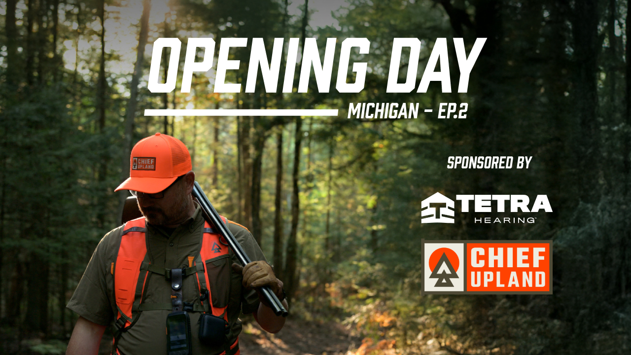 Opening Day – Ruffed Grouse Hunting in Michigan