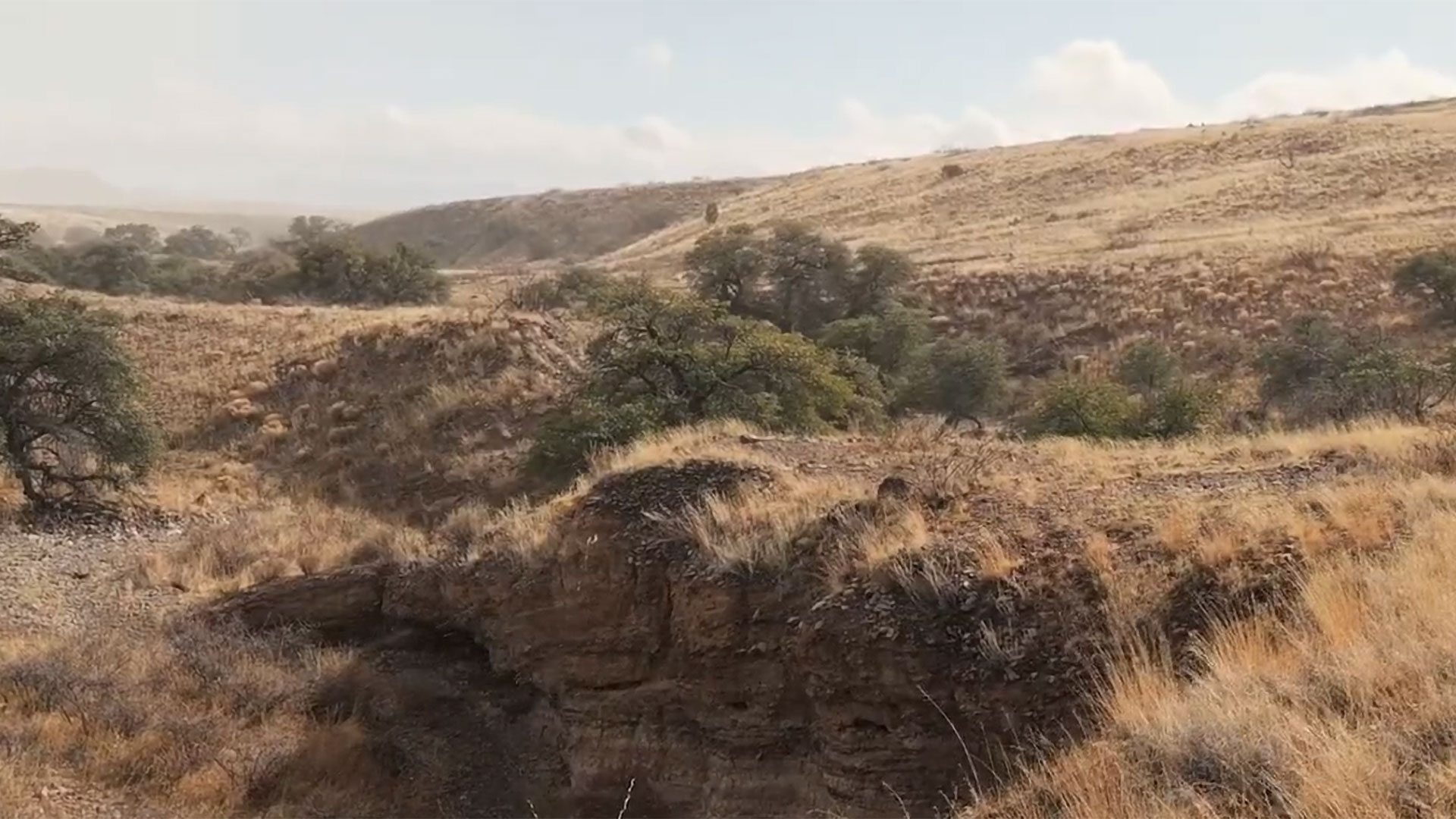 Searching for Montezuma, Quail and Culture in an Ancient Land