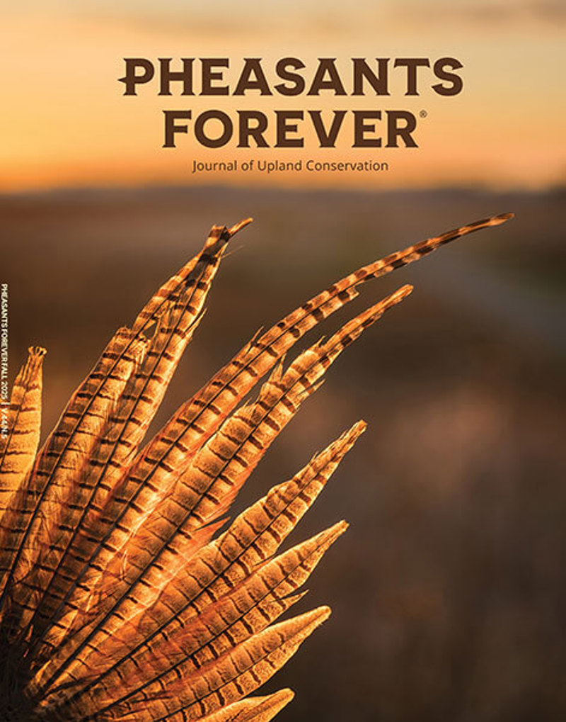mg-pfj-fall-25-cover.jpg