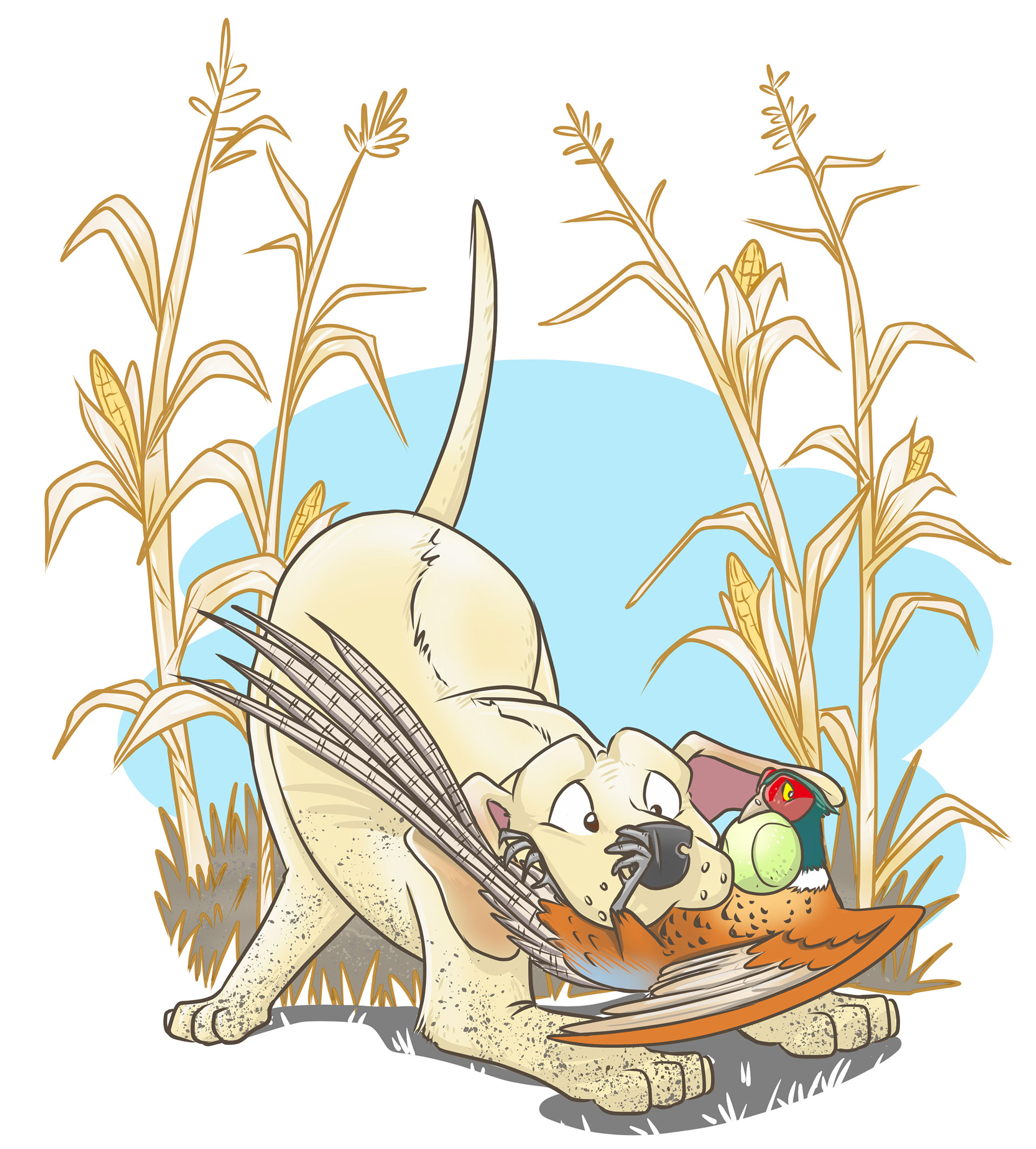 LabradorRetriever.jpg