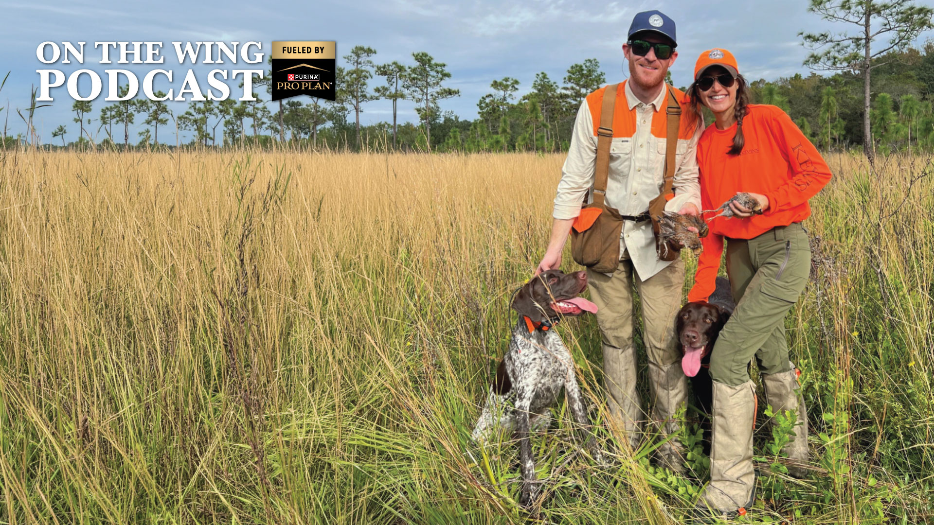 PODCAST EP. 379: Quail Across America: A Florida Couple's Six-Species Adventure