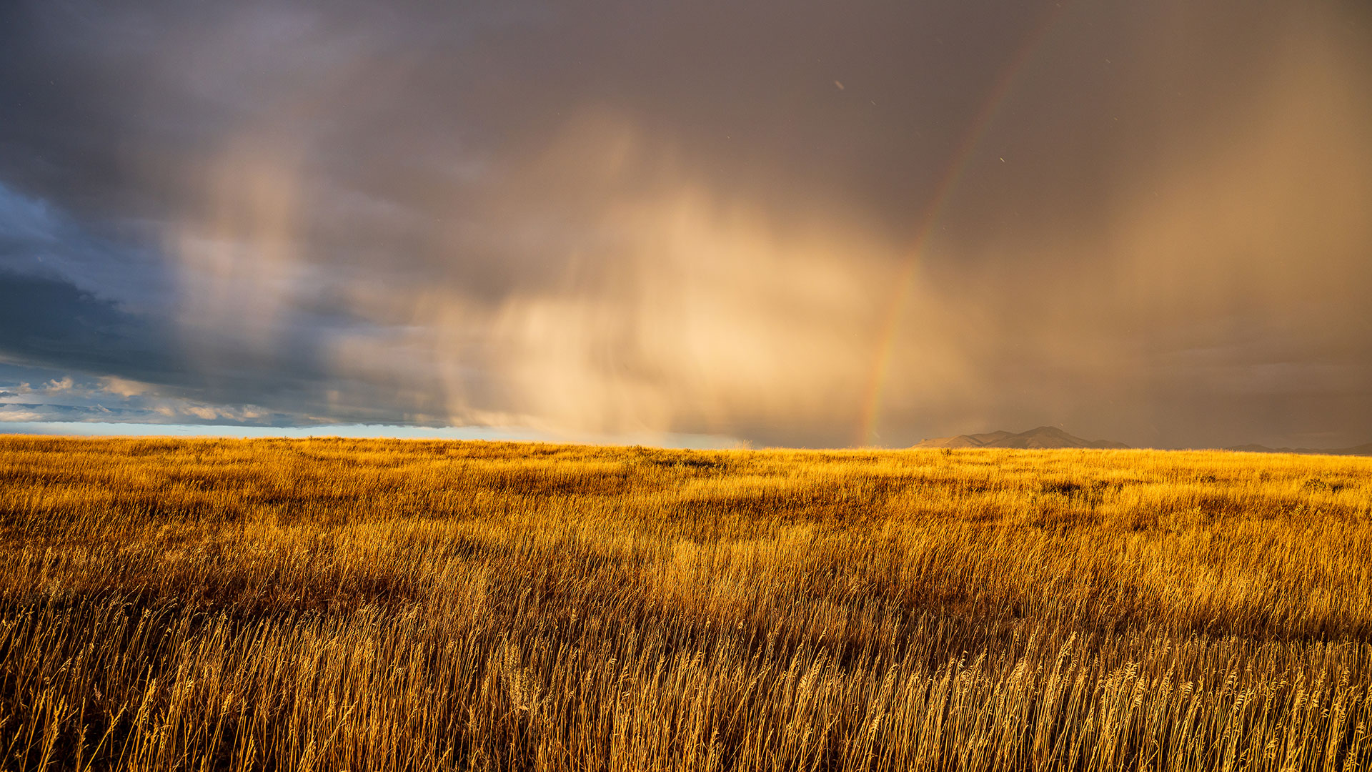 Montana Weather Report