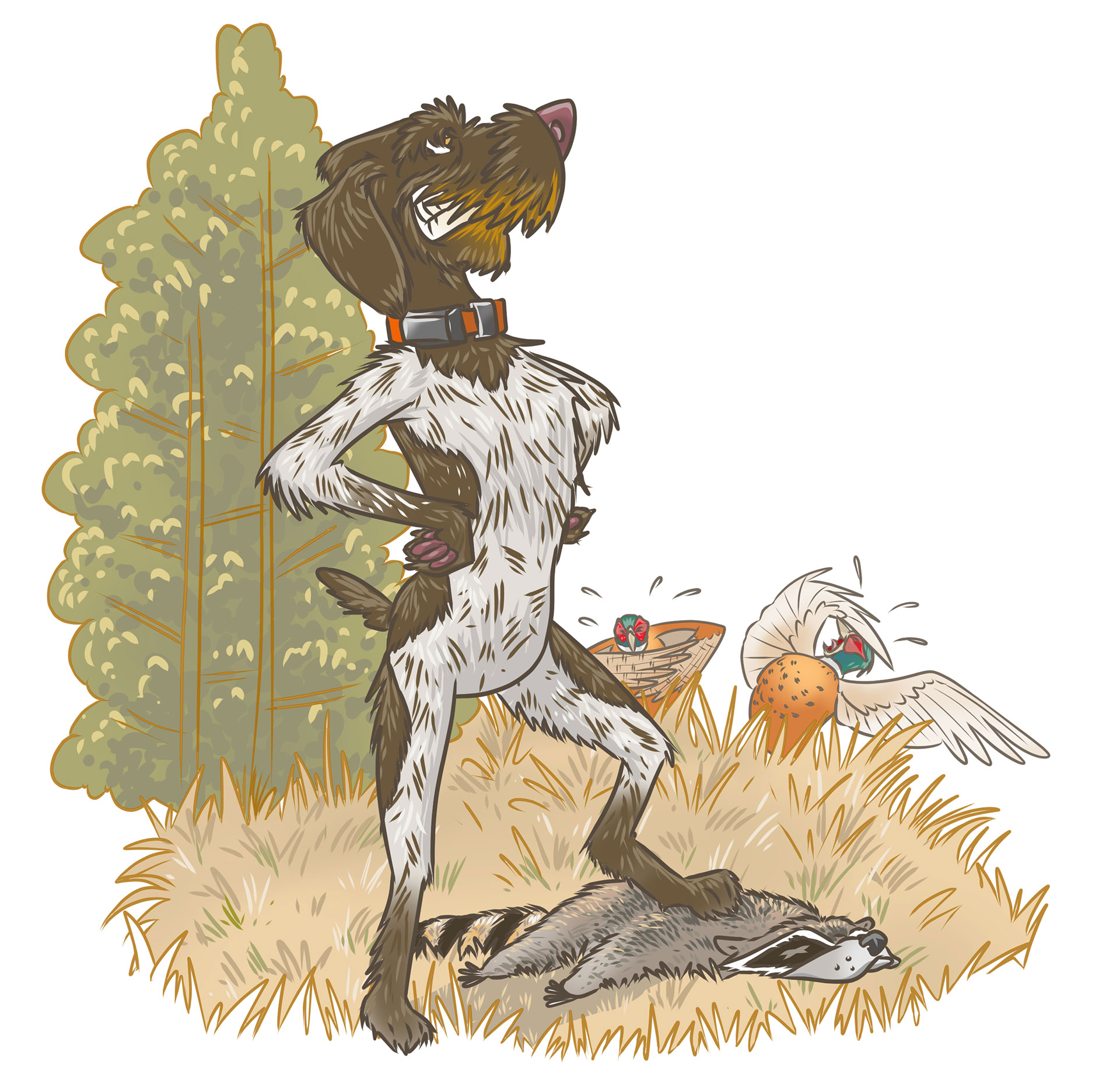 GermanWirehairedPointer.jpg