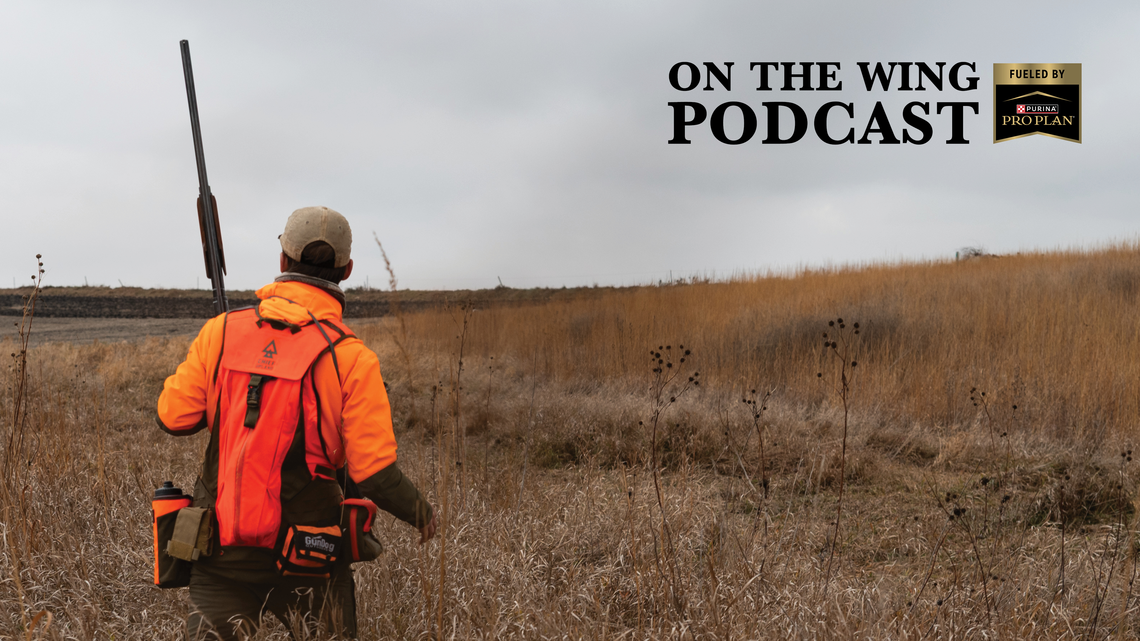 PODCAST EP. 383: How Public Land Changes Hunting One Parcel at a Time