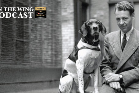 PODCAST EP. 380: "Judy" — A Pheasants Forever and Quail Forever Short Story