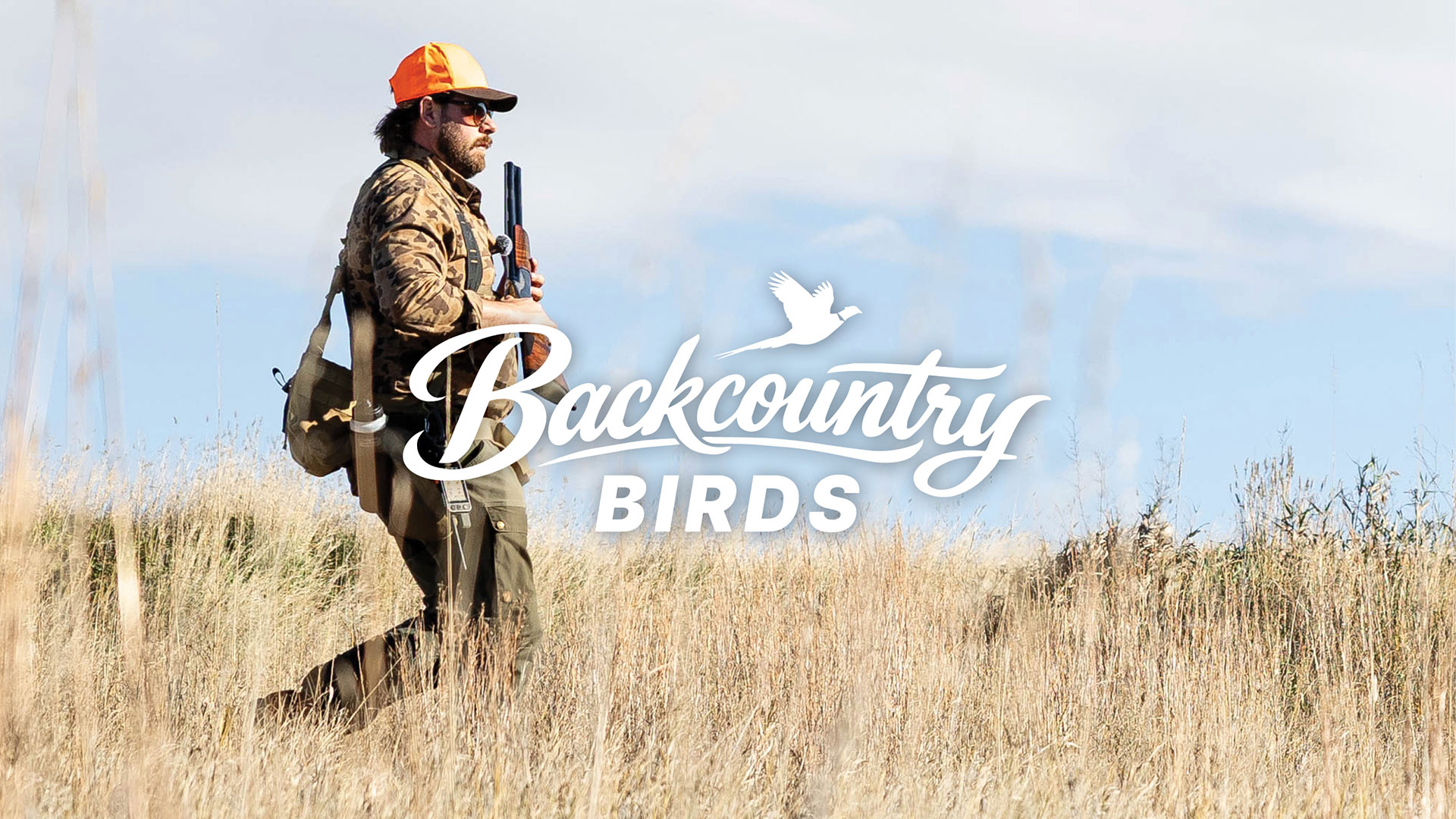 Backcountry Birds